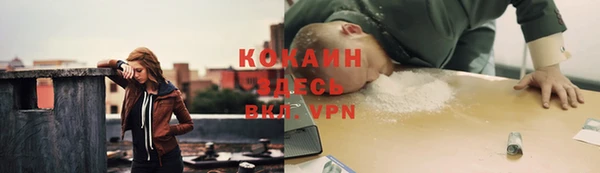 кокс Алексин