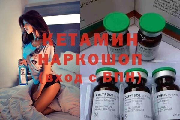 кокс Алексин