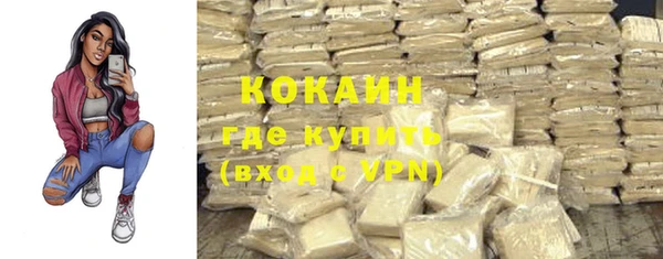 кокс Алексин
